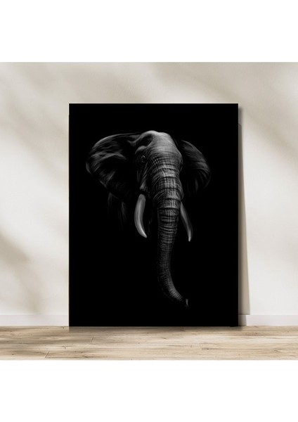 Elephant In Darkness Kanvas Tablo
