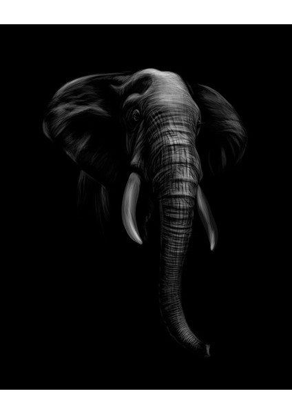 Elephant In Darkness Kanvas Tablo