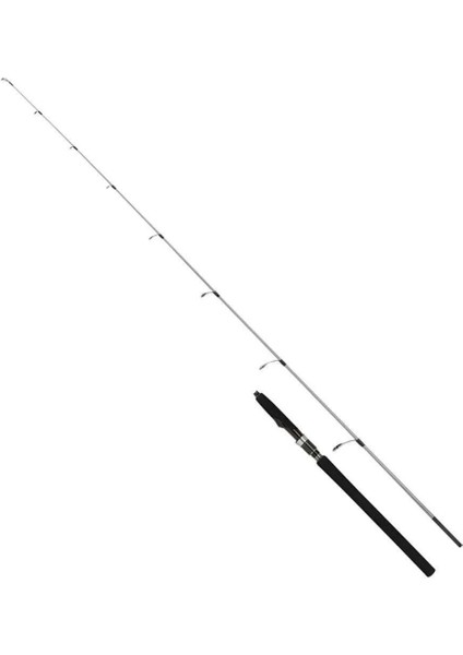 Kamış Speedmaster R Jigging Spinning 1,91M 6'3" 150G 2pc