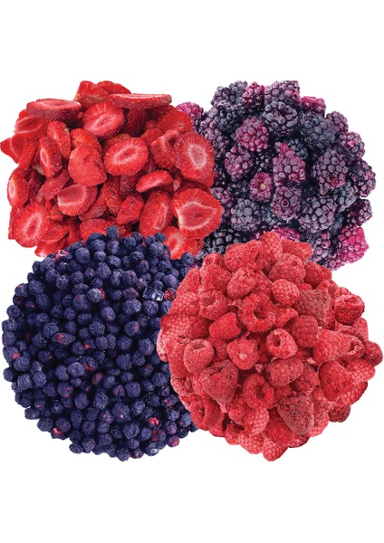 Freeze Dried Kuru Meyve 4'lü Orman Meyveleri Seti