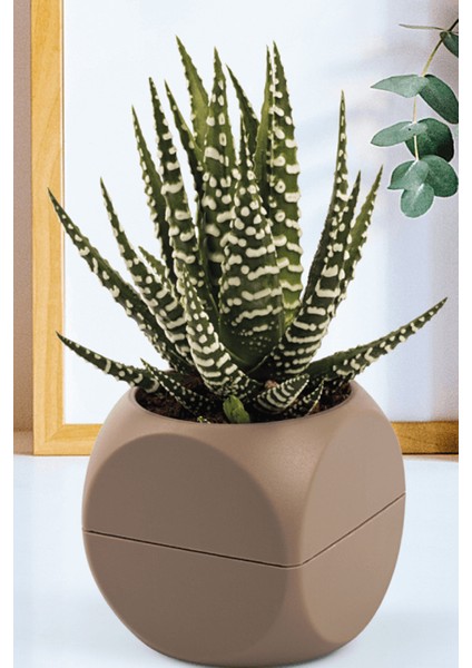 1 No Küp Saksı-KRS-401