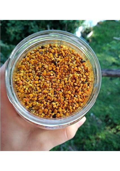 Arı Poleni - 1 kg