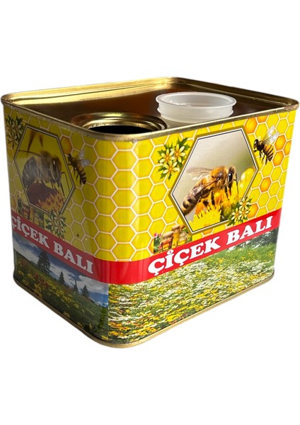Süzme Bal Tenekesi (Desenli) - 2 kg modelleri