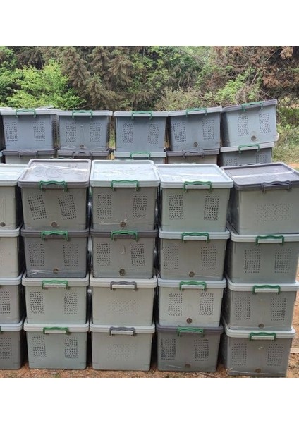 8 Çerçeveli Plastik Kutulu Paket Arı fiyatları