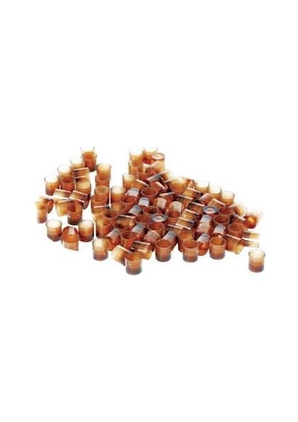 Ana Arı Yumurta Fincanı (Larva Gözü)