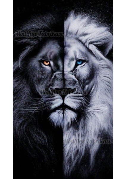 Araç Kapı Direği Kaplama Folyosu Uv Baskılı 2'li Set 22X49 cm - Aslan Desenli