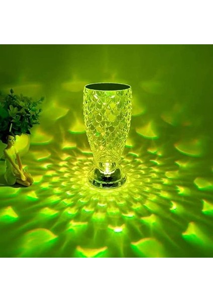 Balık Süzgeç Model USB Şarjlı Kumandalı 16FARKLI Işık Modlu Masa Üstü Kristal Akrilik LED (4881)