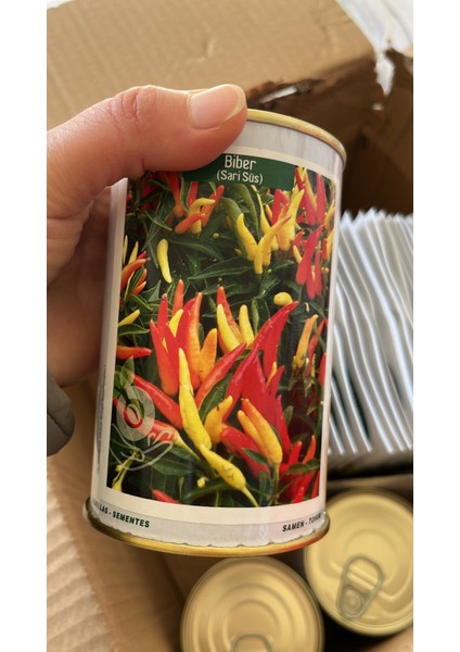 Sarı Biber fiyatları