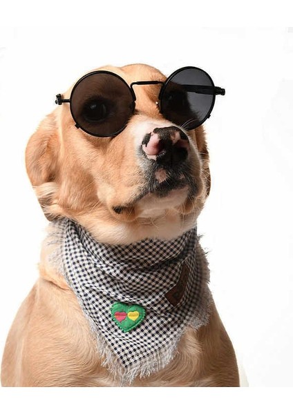 Köpek Bandana / Tendai modelleri