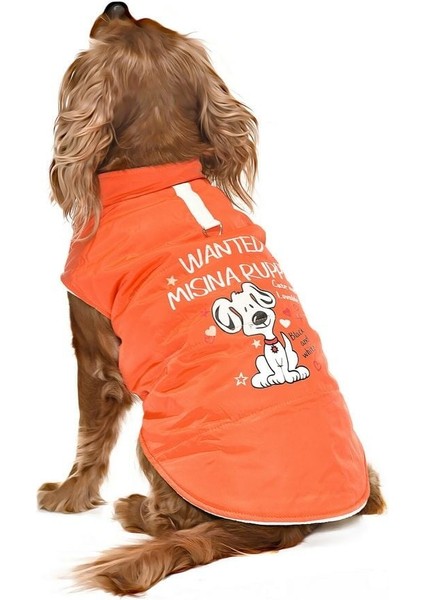 Küçük ve Orta Irk Köpek Mont - Sambo