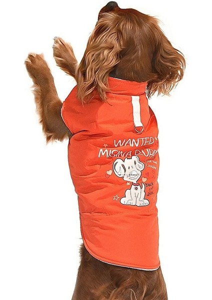 Küçük ve Orta Irk Köpek Mont - Sambo fırsatları