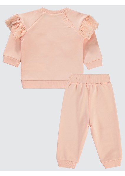Kız Bebek Takım 6-18 Ay Pudra fiyatları