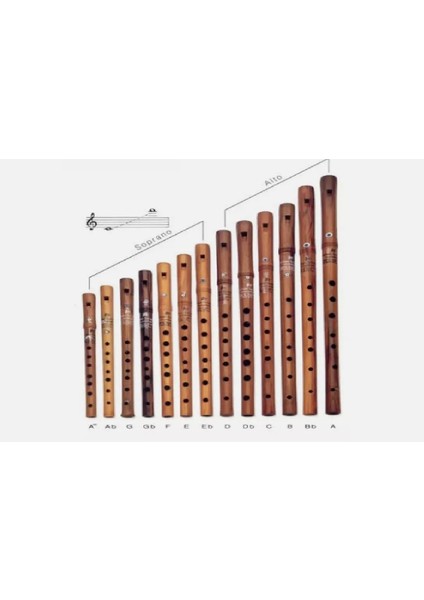 Erik Ağacı Dilsiz Kaval, Woodwind Plum Kaval Size Dilsiz Kaval