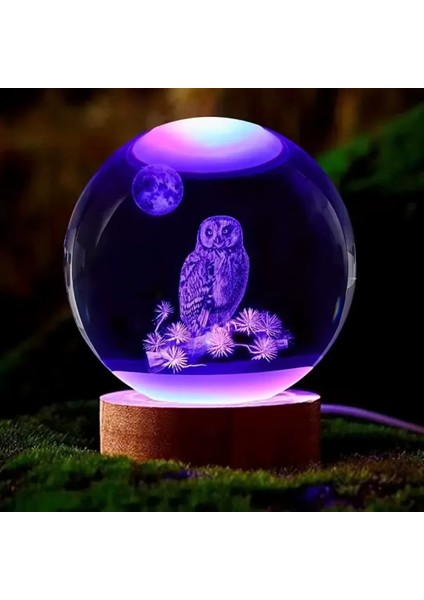 Isme Özel Ahşap Baykuş Cam Küre Tasarımlı 3D Cam Küre 6 cm ve Anahtar Seti fiyatları