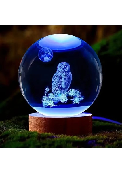 Isme Özel Ahşap Baykuş Cam Küre Tasarımlı 3D Cam Küre 6 cm ve Anahtar Seti fırsatları
