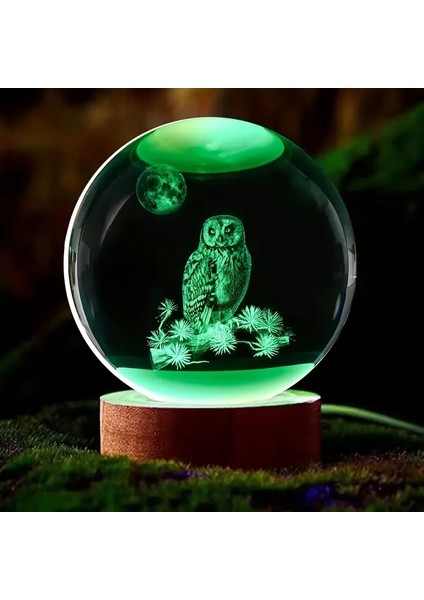 Isme Özel Ahşap Baykuş Cam Küre Tasarımlı 3D Cam Küre 6 cm ve Anahtar Seti indirimleri