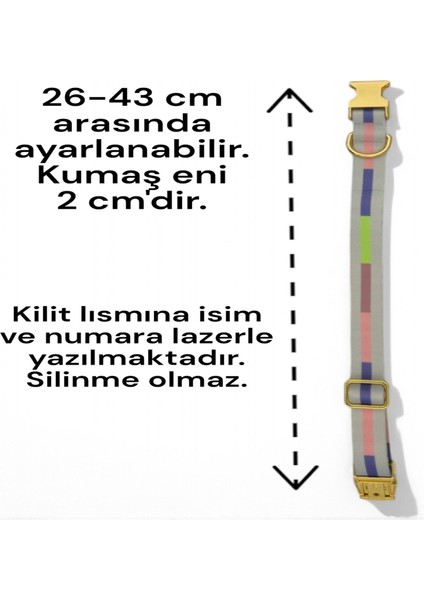 Köpek Tasması-Küçük Irk ve Orta Irk İsimli Köpek Tasması-Kişiye Özel Tasma- İsimli Tasma