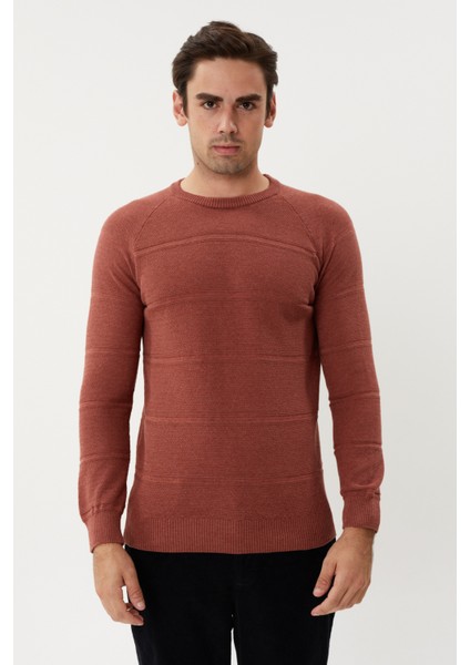 Et 3630-T Kendinden Desenli Bisiklet Yaka Erkek Triko Kazak