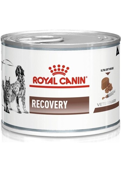 Recovery Kedi- Köpek Konservesi 195 gr (STT:03/2026) - Petshopundan