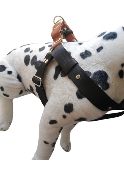 Köpek göğüs tasması orta ve büyük ırk siyah saten kolon hakiki deri konbinli göğüs ölçüsü:55-95cm ayarlı dog harness GT3-9
