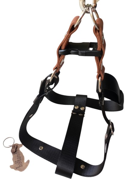 Köpek göğüs tasması orta ve büyük ırk siyah saten kolon hakiki deri konbinli göğüs ölçüsü:55-95cm ayarlı dog harness GT3-9