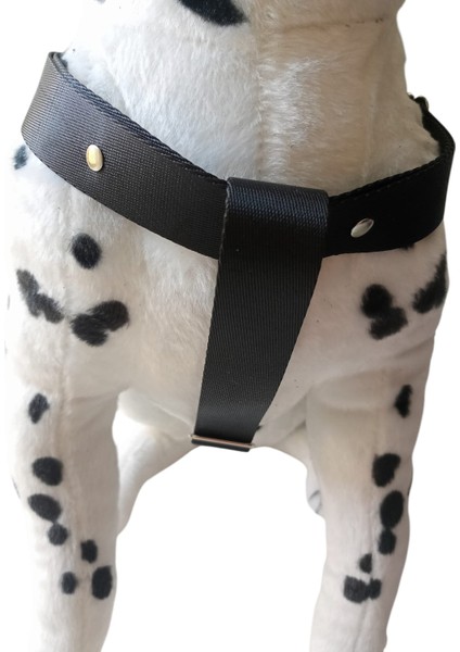 Köpek göğüs tasması orta ve büyük ırk siyah saten kolon hakiki deri konbinli göğüs ölçüsü:55-95cm ayarlı dog harness GT3-9