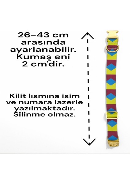 Köpek Tasması-Küçük Irk ve Orta Irk İsimli Köpek Tasması-Kişiye Özel Tasma- İsimli Tasma modelleri