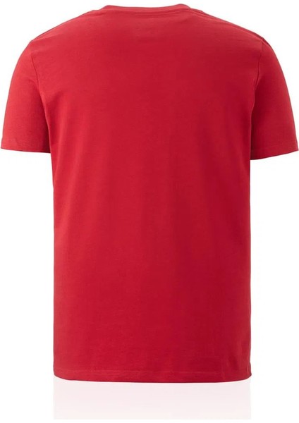 4 Yıldız Kırmızı T-Shirt Aslan Ahşap Kutulu fırsatları