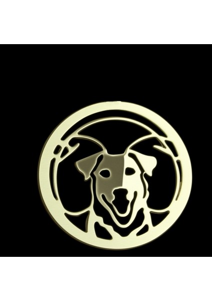 14 Ayar Altın Kolye Ucu Köpek GM482 0.5 gr
