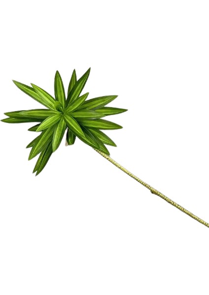 Yapay Bitki Yuka