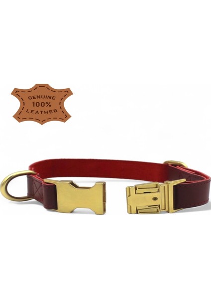 Hakiki Deri Köpek Boyun Tasması, Kişiye Özel Künyeli-Küçük Ve Orta Irk- 2cm
