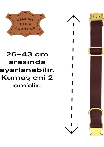 Hakiki Deri Köpek Boyun Tasması, Kişiye Özel Künyeli-Küçük Ve Orta Irk- 2cm