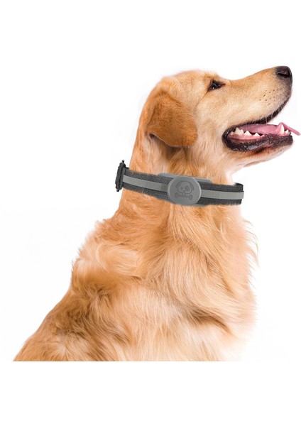 Tagsafe Dogcol Taşınabilir Anahtarlık Airtag Kılıf Gray