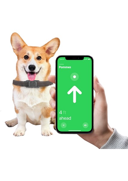 Tagsafe Dogcol Taşınabilir Anahtarlık Airtag Kılıf Gray
