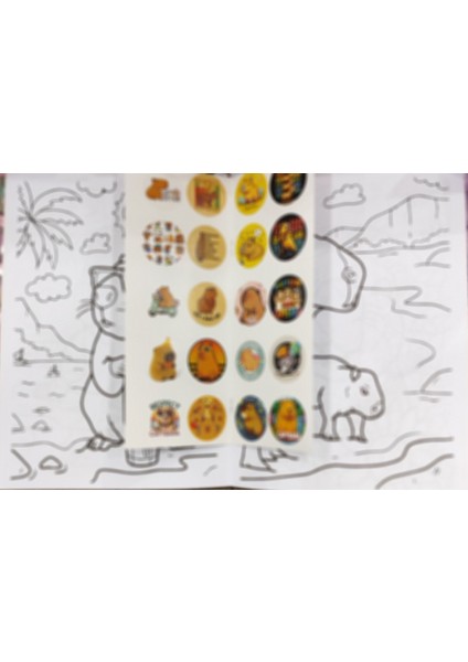 4 Adet Stickerli Boyama Kitabı (Frozen,labubu,capybara,unicorn Figürlü)