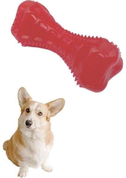 Köpekler Için Diş Kaşıma Oyuncağı Tırtıklı Yapıda Plastik Dumbell fırsatları