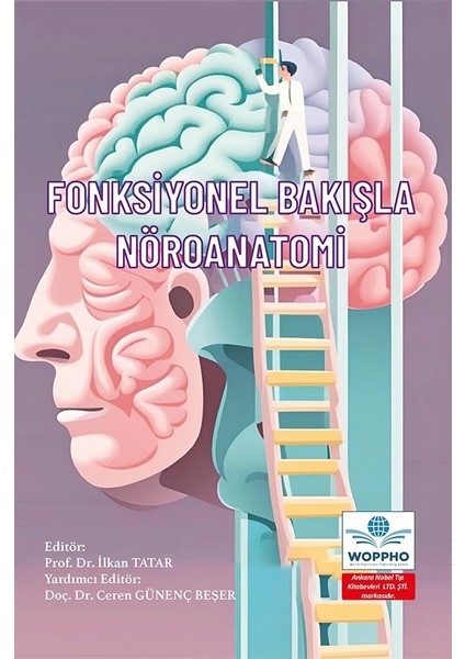 Fonksiyonel Bakışla Nöroanatomi