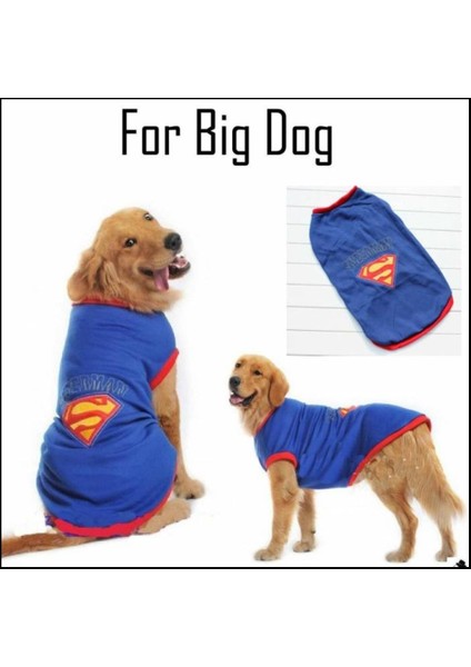 Superman Tshırt Orta Ve Büyük Irklar İçin