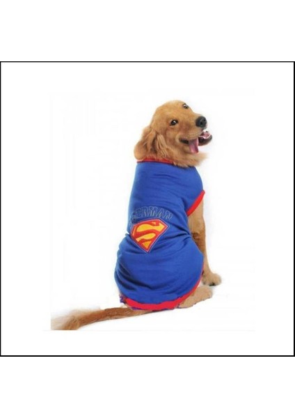 Superman Tshırt Orta Ve Büyük Irklar İçin fırsatları