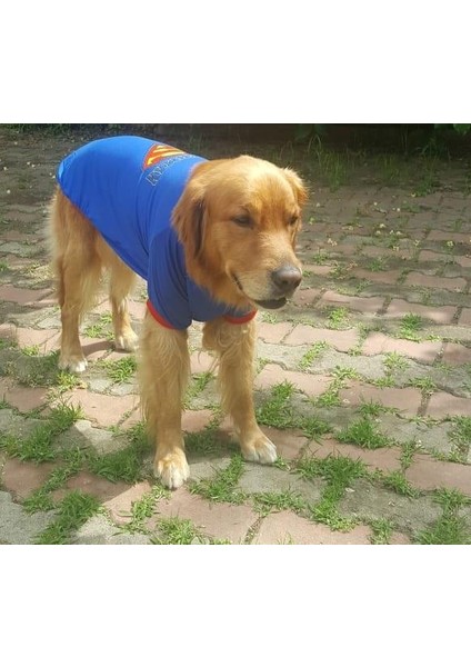 Superman Tshırt Orta Ve Büyük Irklar İçin