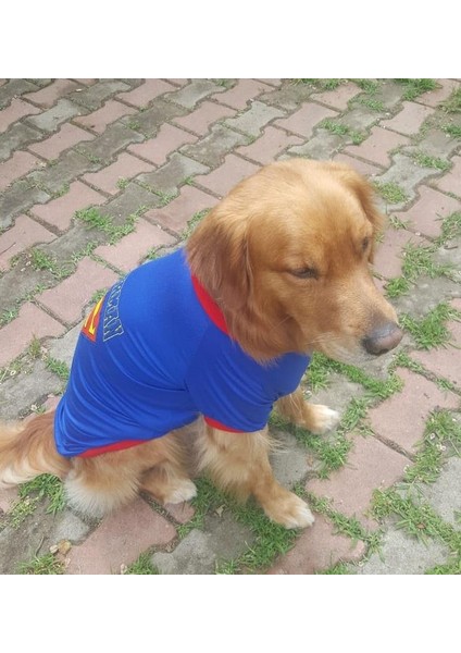 Superman Tshırt Orta Ve Büyük Irklar İçin
