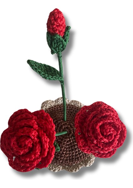 -El Yapımı Örme Gül fiyatları