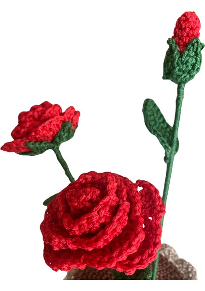 -El Yapımı Örme Gül modelleri