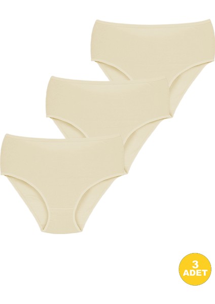 Kadın Ribana Yüksek Bel Büyük Beden Külot 3'lü Paket modelleri