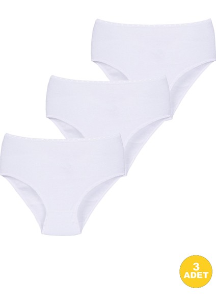 Kadın Ribana Yüksek Bel Büyük Beden Külot 3'lü Paket fiyatları