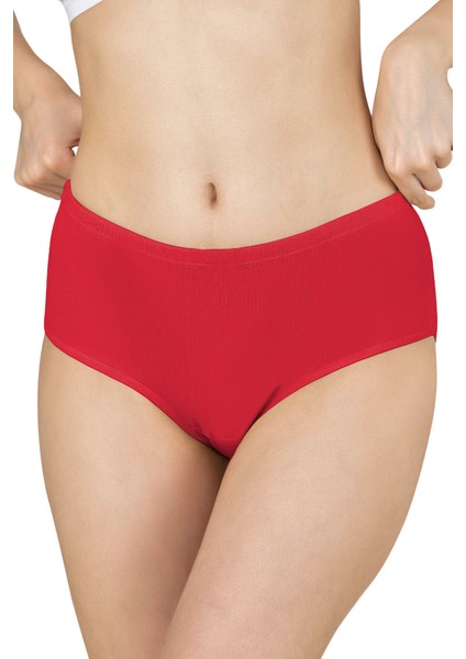 Kadın Ribana Yüksek Bel Büyük Beden Külot 3'lü Paket