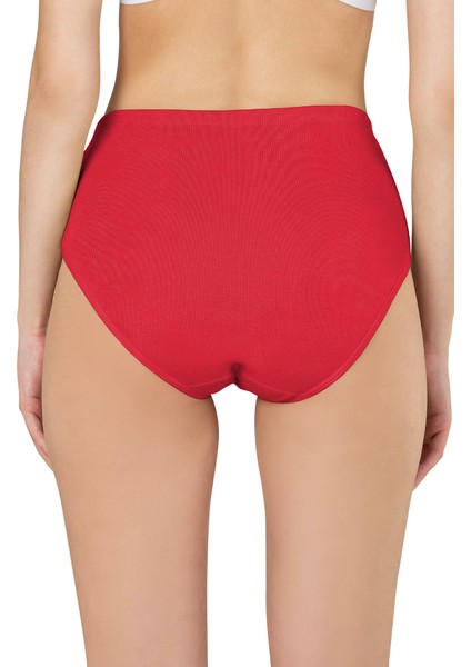 Kadın Ribana Yüksek Bel Büyük Beden Külot 3'lü Paket fiyatları