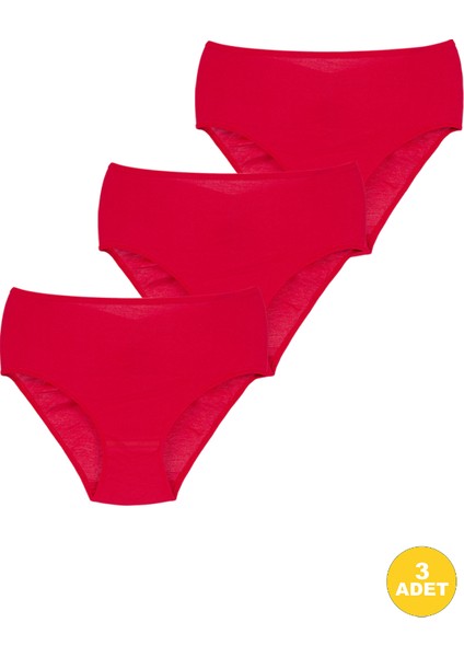 Kadın Ribana Yüksek Bel Büyük Beden Külot 3'lü Paket modelleri