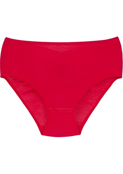 Kadın Ribana Yüksek Bel Büyük Beden Külot 3'lü Paket fırsatları