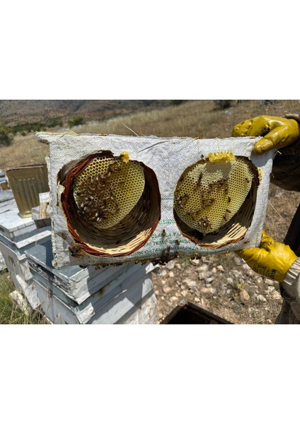 Mumsuz Şekersiz Sepet Bal Daha Orjinali Yok 2kg-2.5 ve üstü